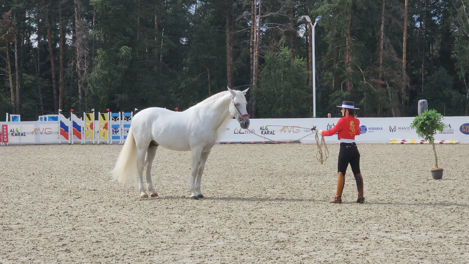 Иваново поле, Международный конный фестиваль, лошади, село Ивановское, городской округ Черноголовка,