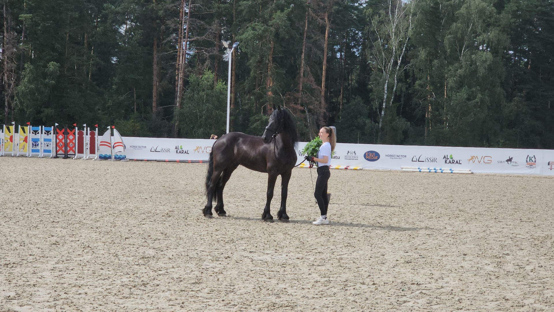 Иваново поле, Международный конный фестиваль, лошади, село Ивановское, городской округ Черноголовка,