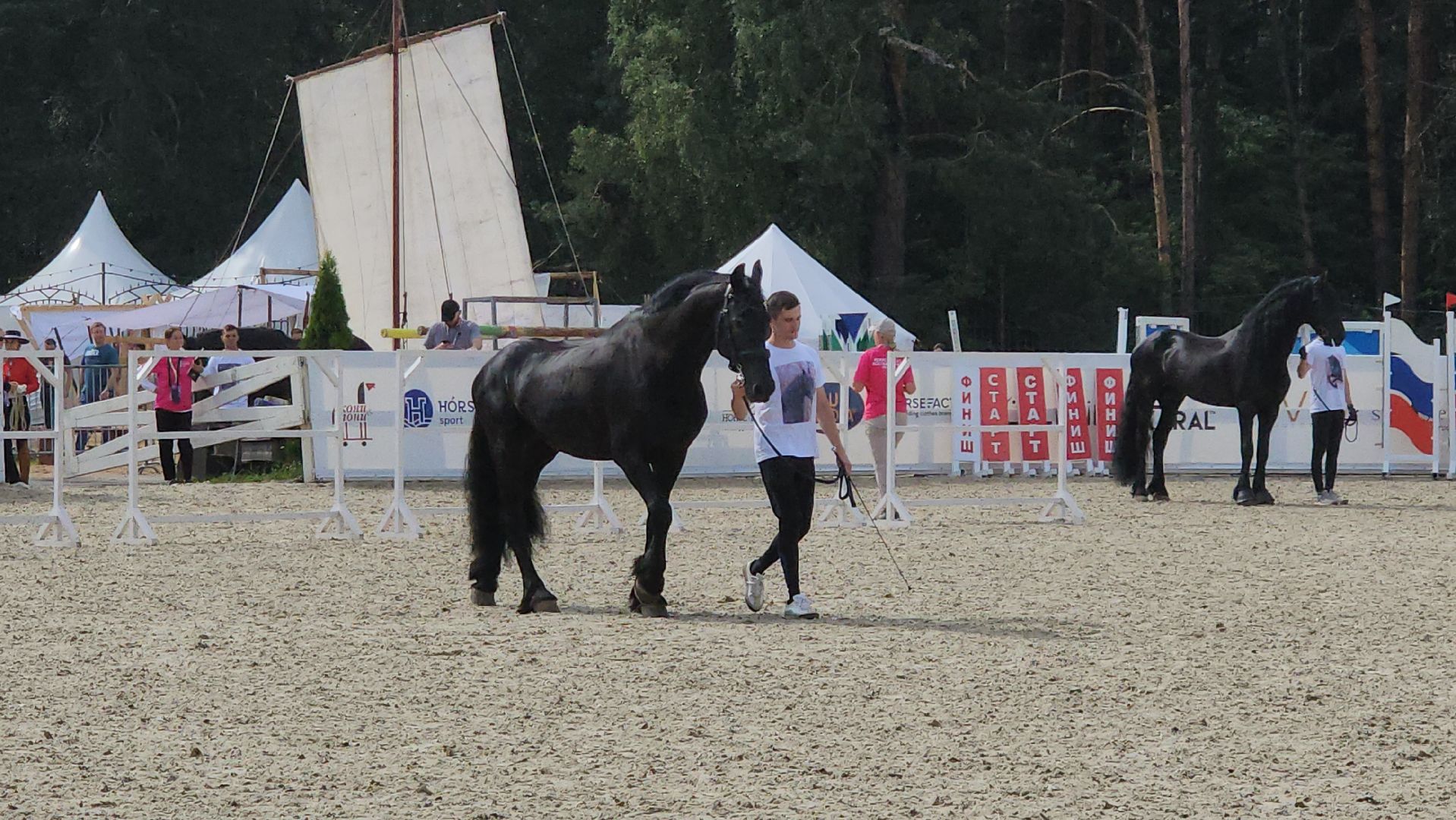 Иваново поле, Международный конный фестиваль, лошади, село Ивановское, городской округ Черноголовка,