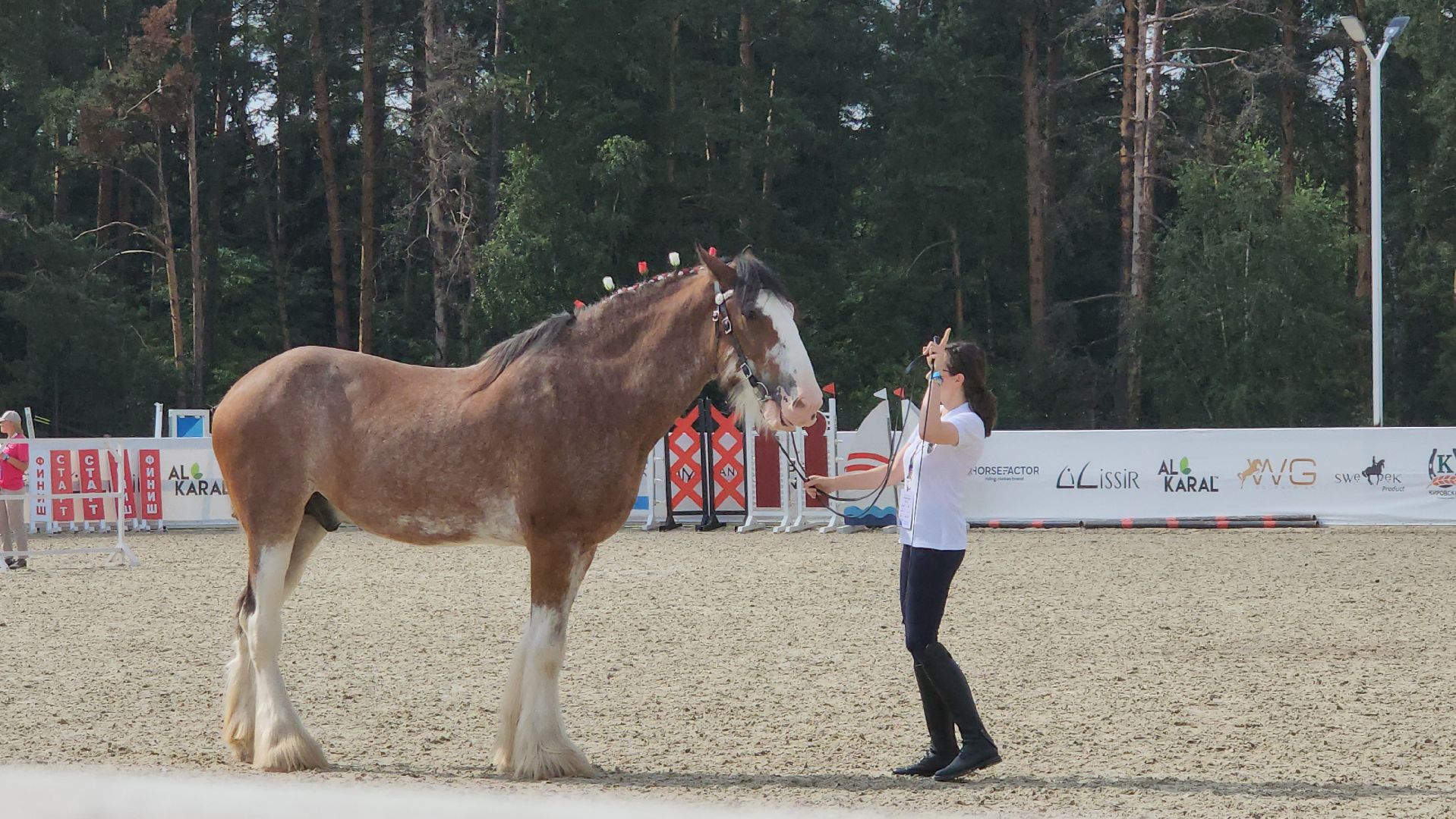 Иваново поле, Международный конный фестиваль, лошади, село Ивановское, городской округ Черноголовка,
