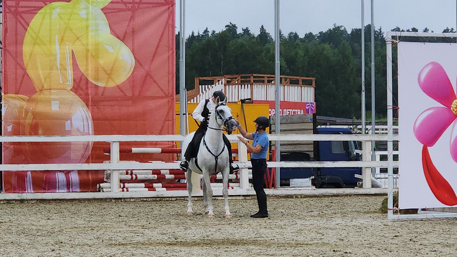 Иваново поле, Международный конный фестиваль, лошади, село Ивановское, городской округ Черноголовка,