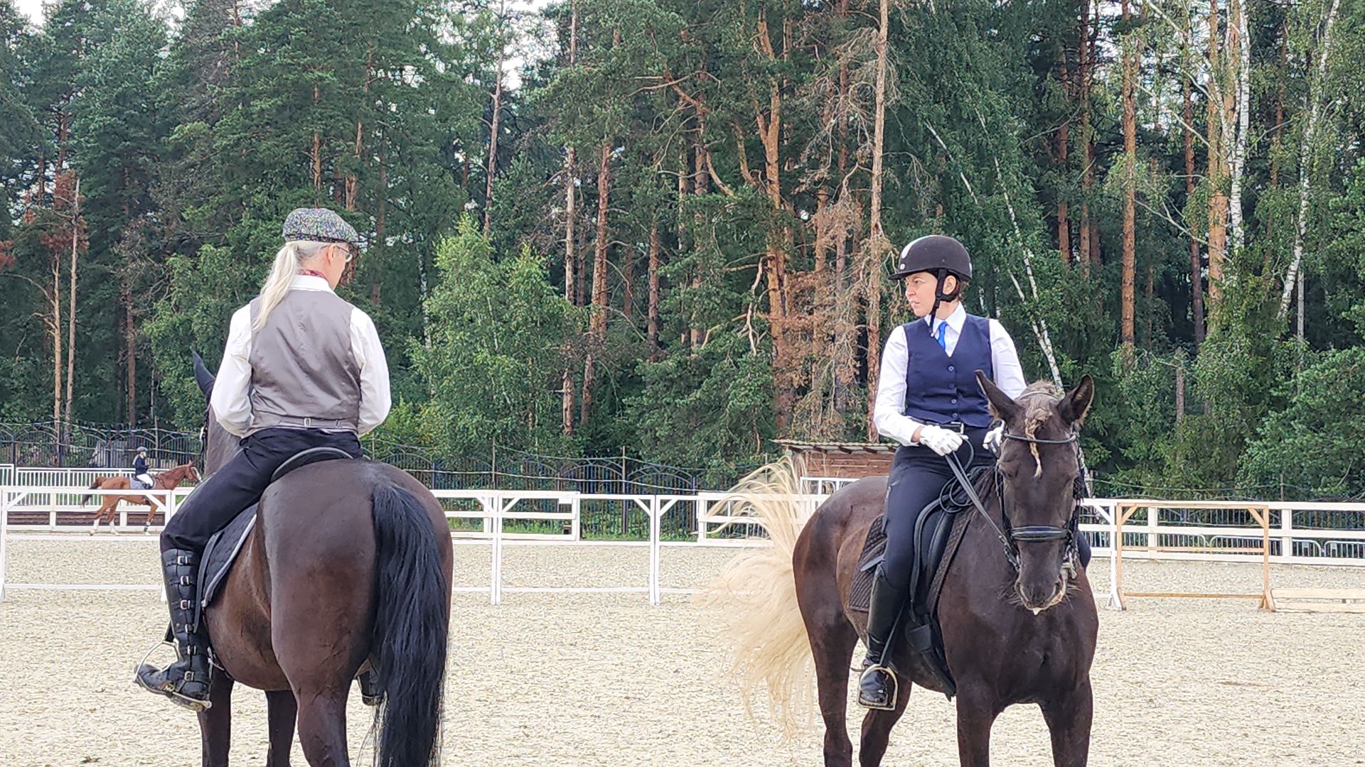 Иваново поле, Международный конный фестиваль, лошади, село Ивановское, городской округ Черноголовка,