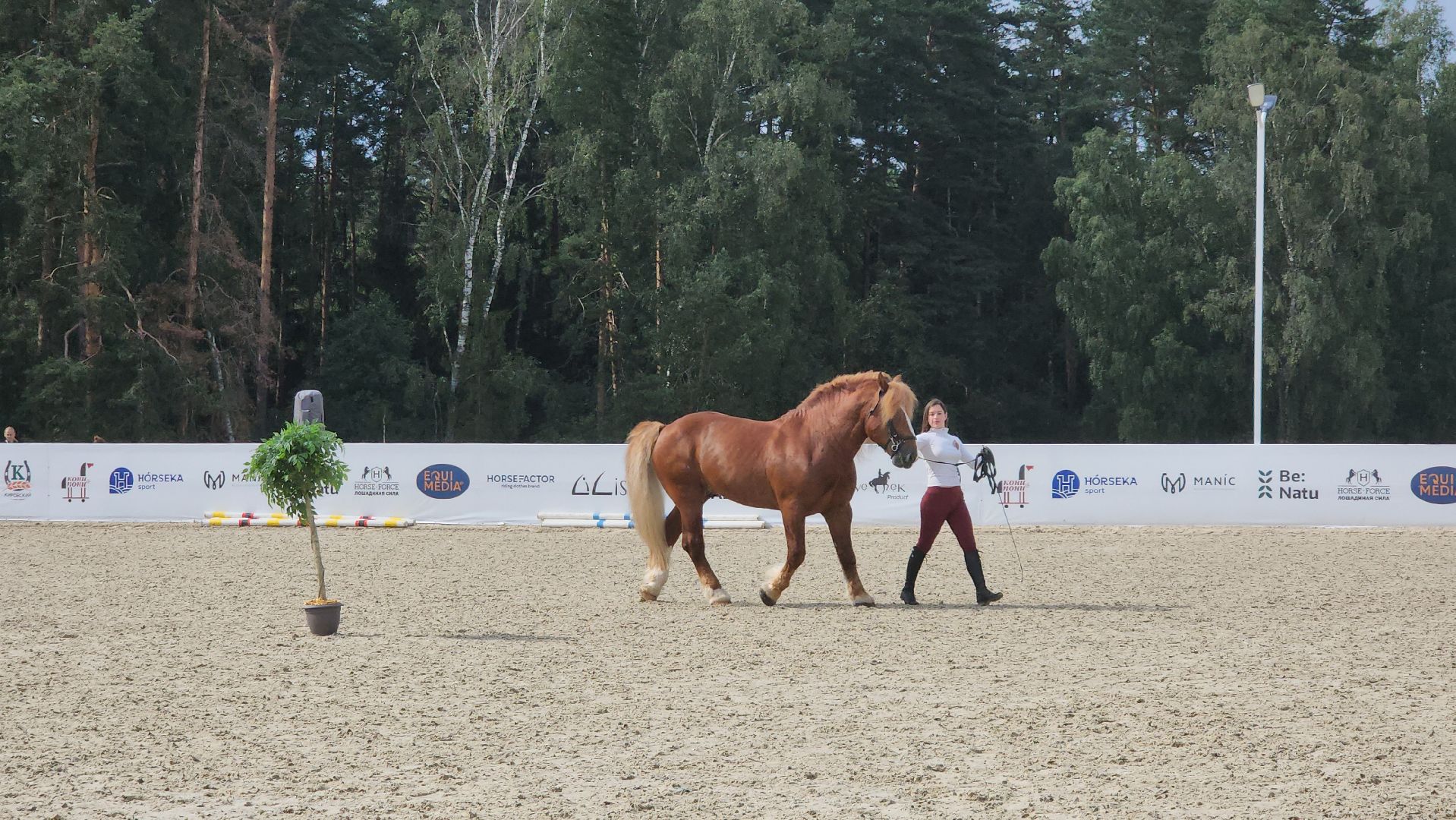 Иваново поле, Международный конный фестиваль, лошади, село Ивановское, городской округ Черноголовка,
