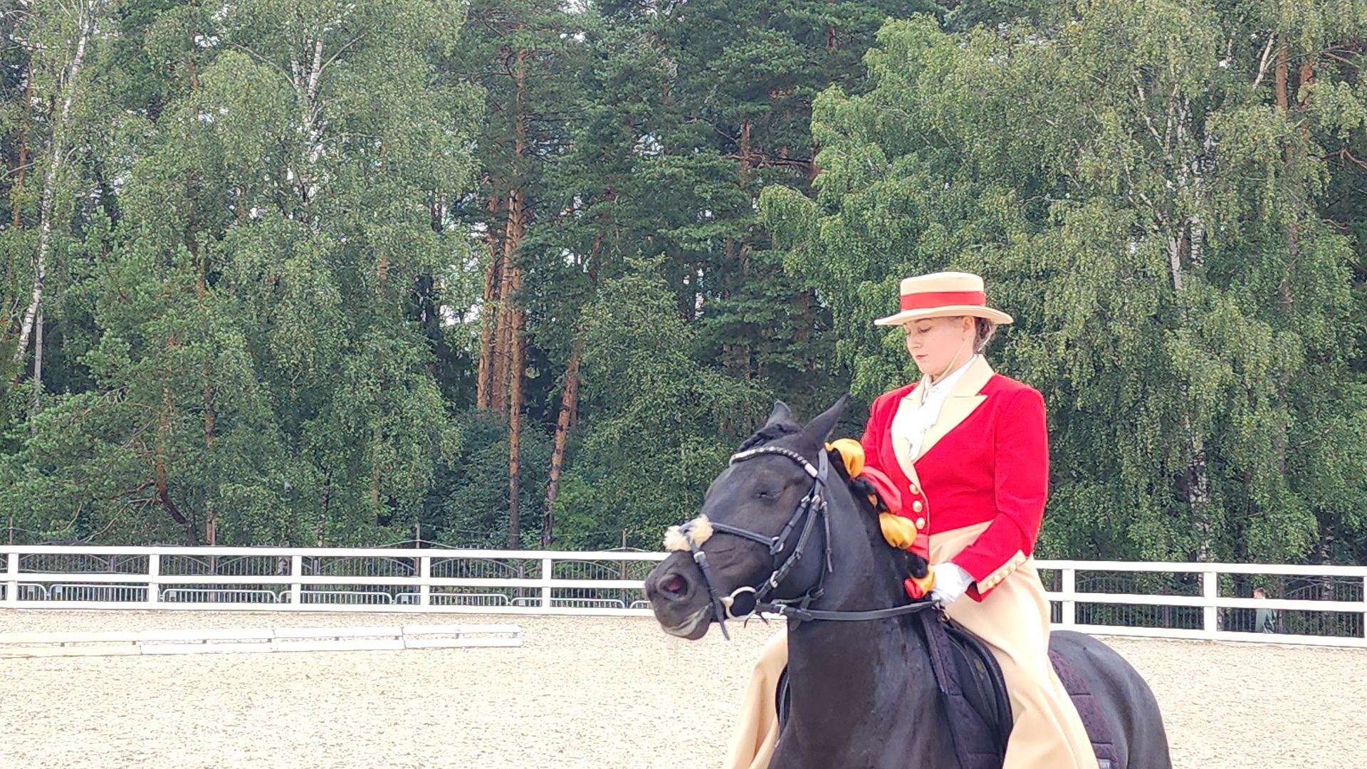 Иваново поле, Международный конный фестиваль, лошади, село Ивановское, городской округ Черноголовка,