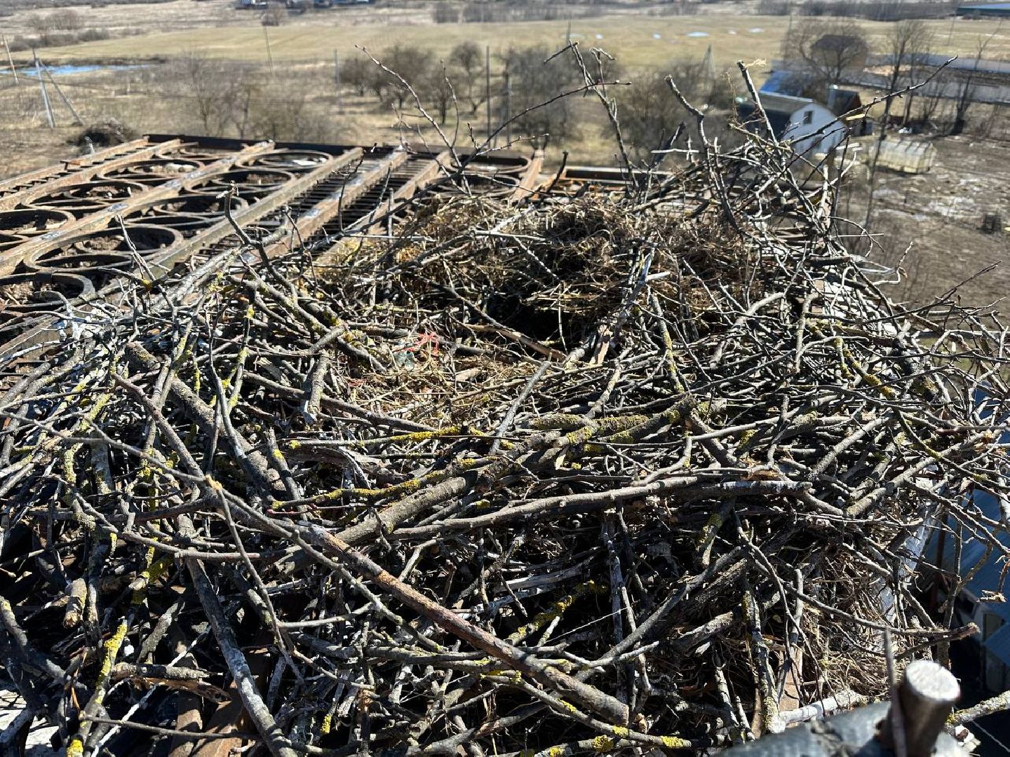 Можайск, Можайскийгородскойокруг, Подмосковье, экология, аисты, гнездо, спасли, краснокнижныептицы
