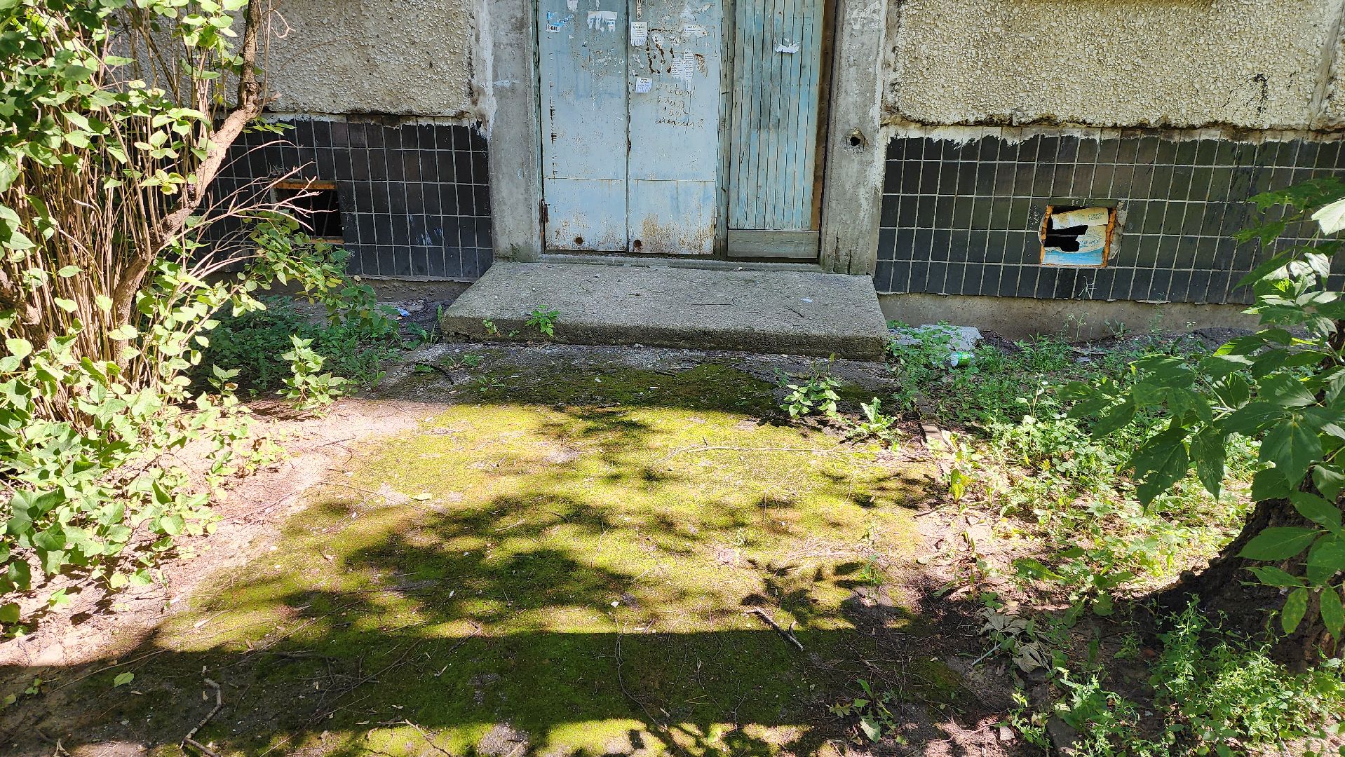 пешие обходы, заместитель главы, Григорий грибанов, ул семашко, ул дзержинского, борис аубакиров, мусор, смет, уборка, озеленение,