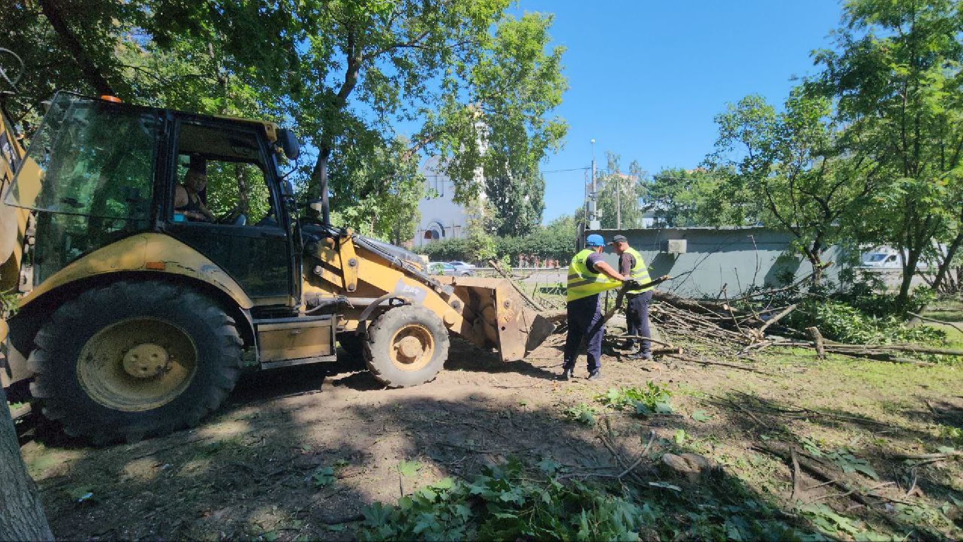 люберцы, спил деревьев, жкх и благоустройство,