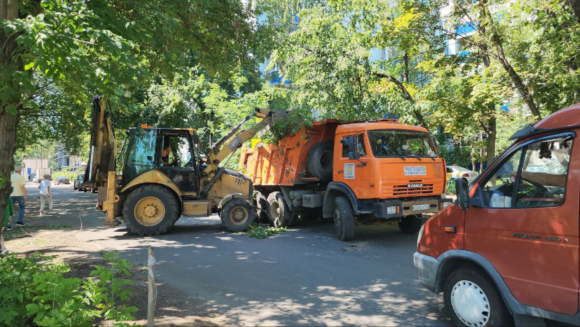 люберцы, спил деревьев, жкх и благоустройство,