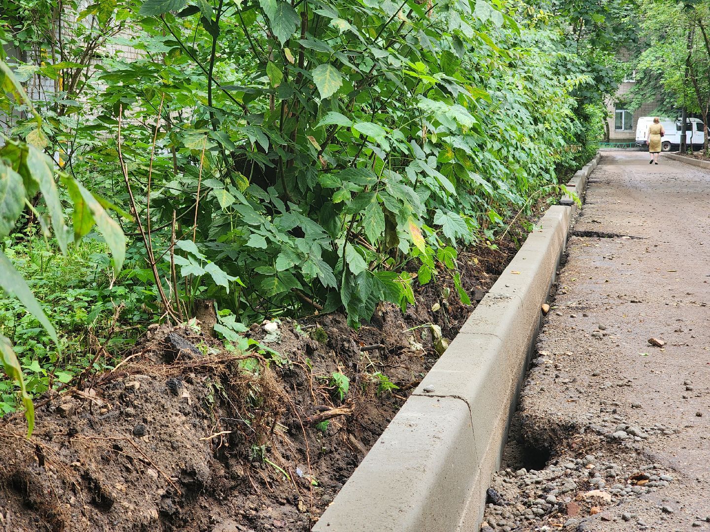 пушкинский,