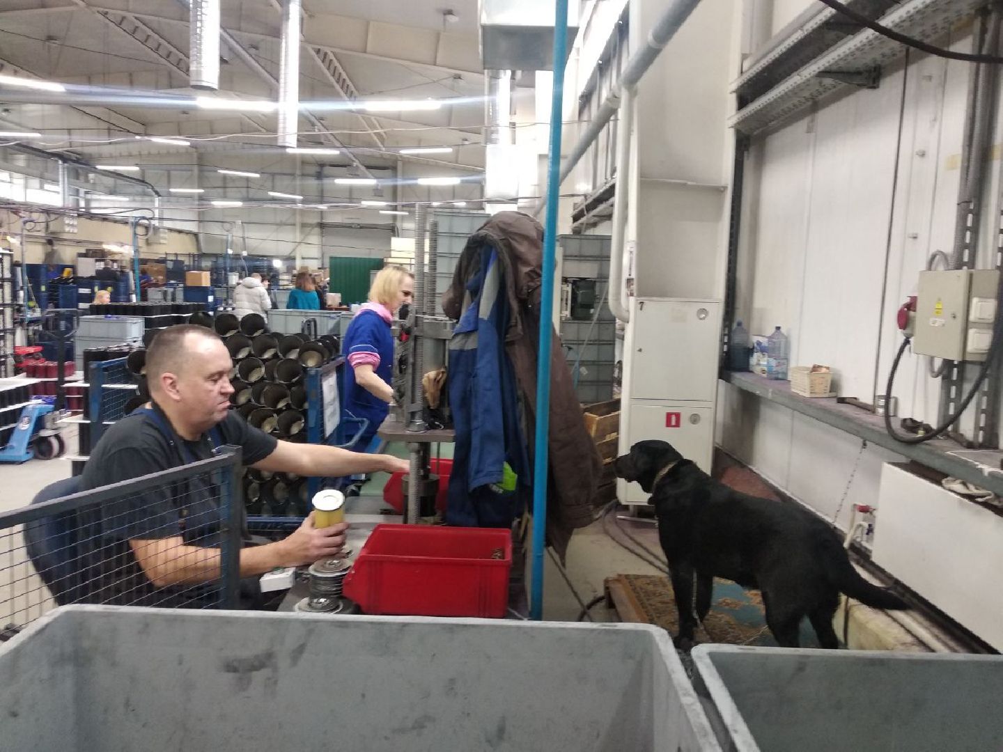 Дмитров, ДУПП, Всероссийское общество слепых