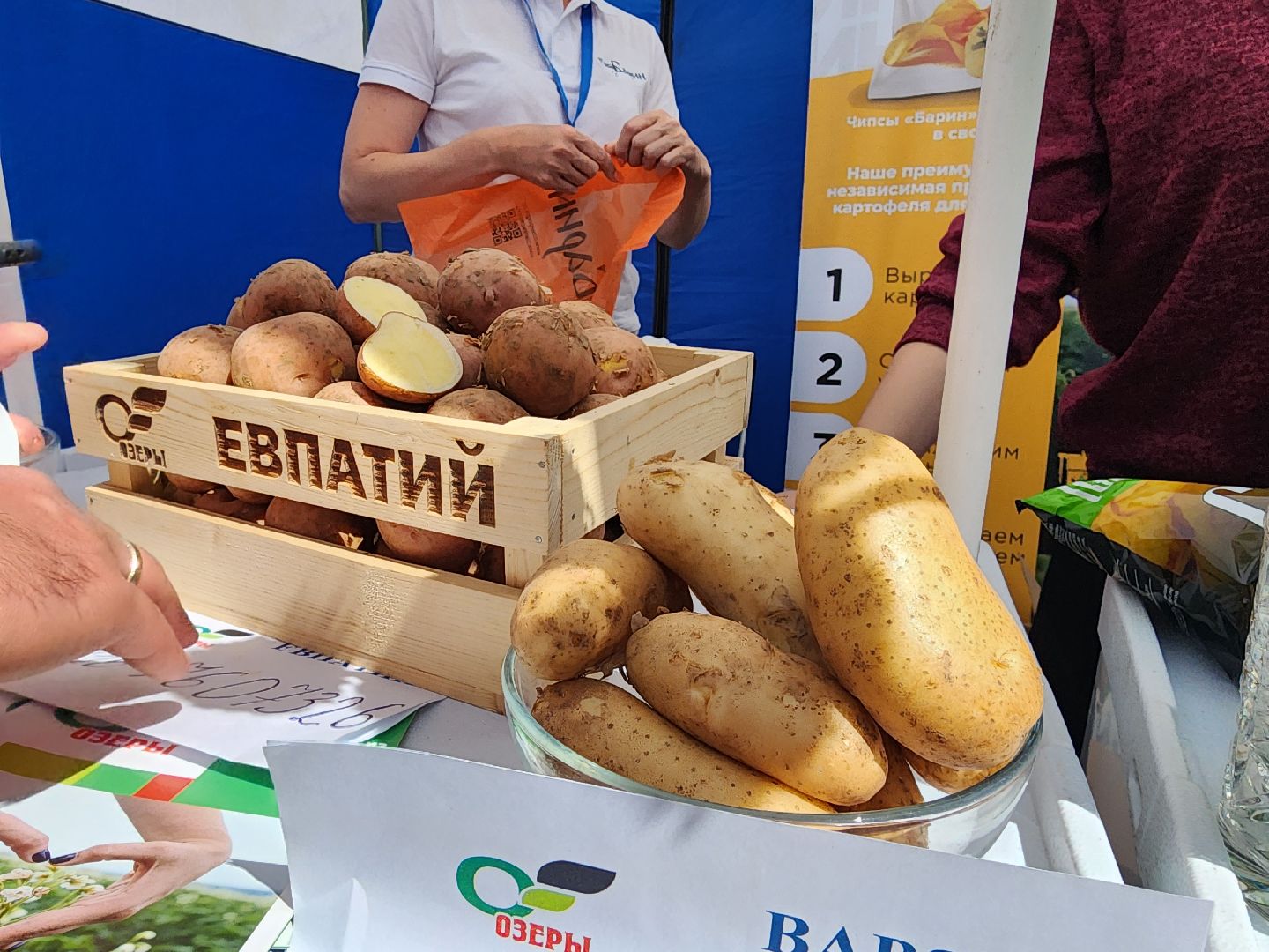 Домодедово, Подмосковье, фермеры, фермеры подмосковья, агрополигон 2024, сельхоз, сельхозтехника,