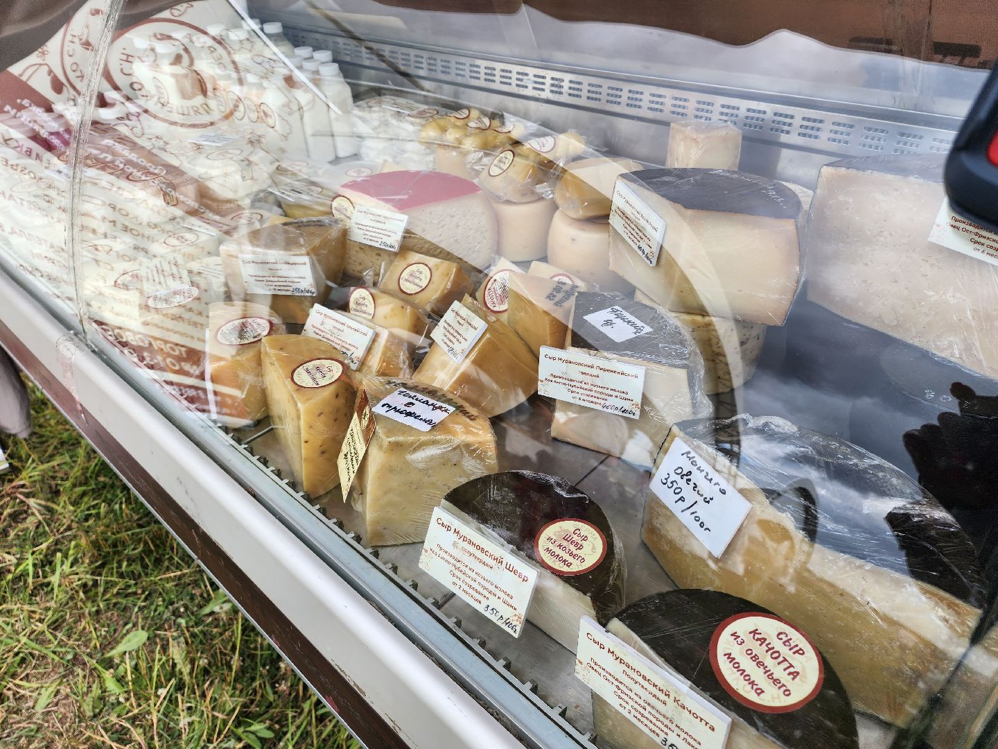 Домодедово, Подмосковье, фермеры, фермеры подмосковья, агрополигон 2024, сельхоз, сельхозтехника,