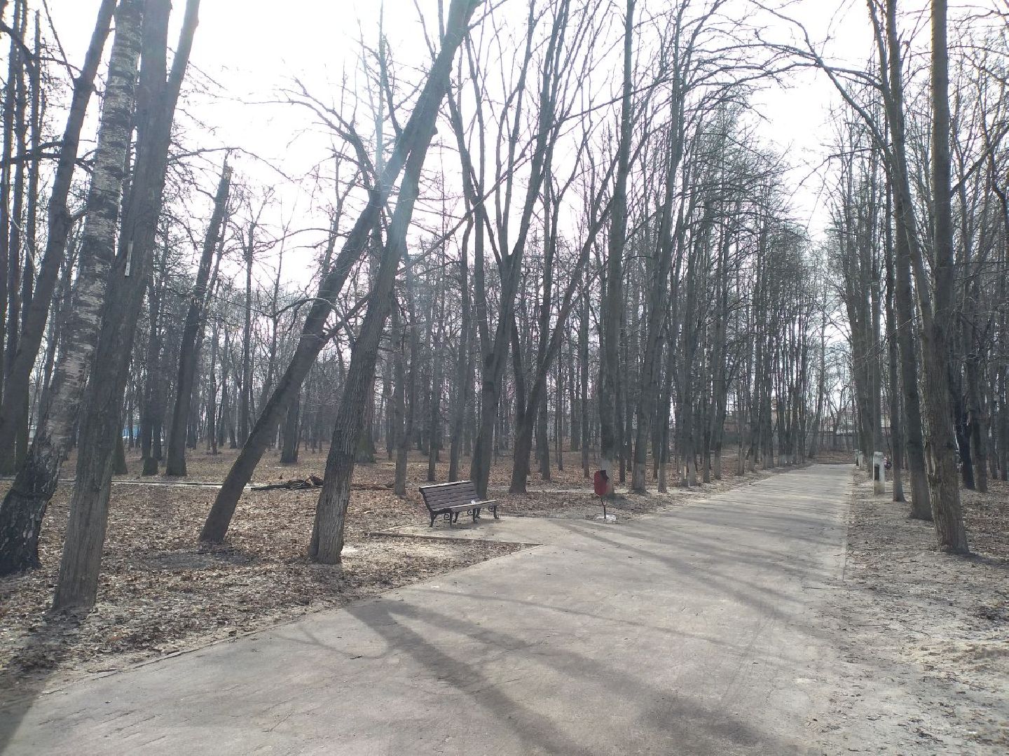 благоустройство, парк, Свердловский, Лосино-Петровский