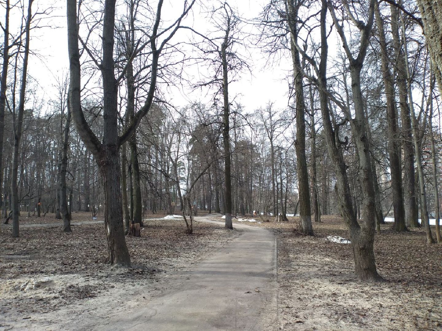 благоустройство, парк, Свердловский, Лосино-Петровский