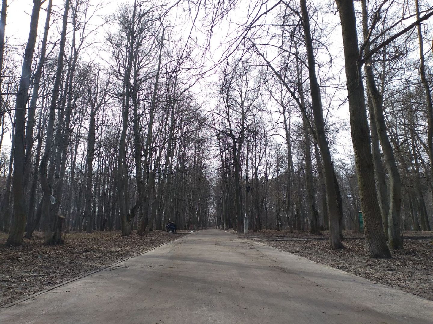 благоустройство, парк, Свердловский, Лосино-Петровский