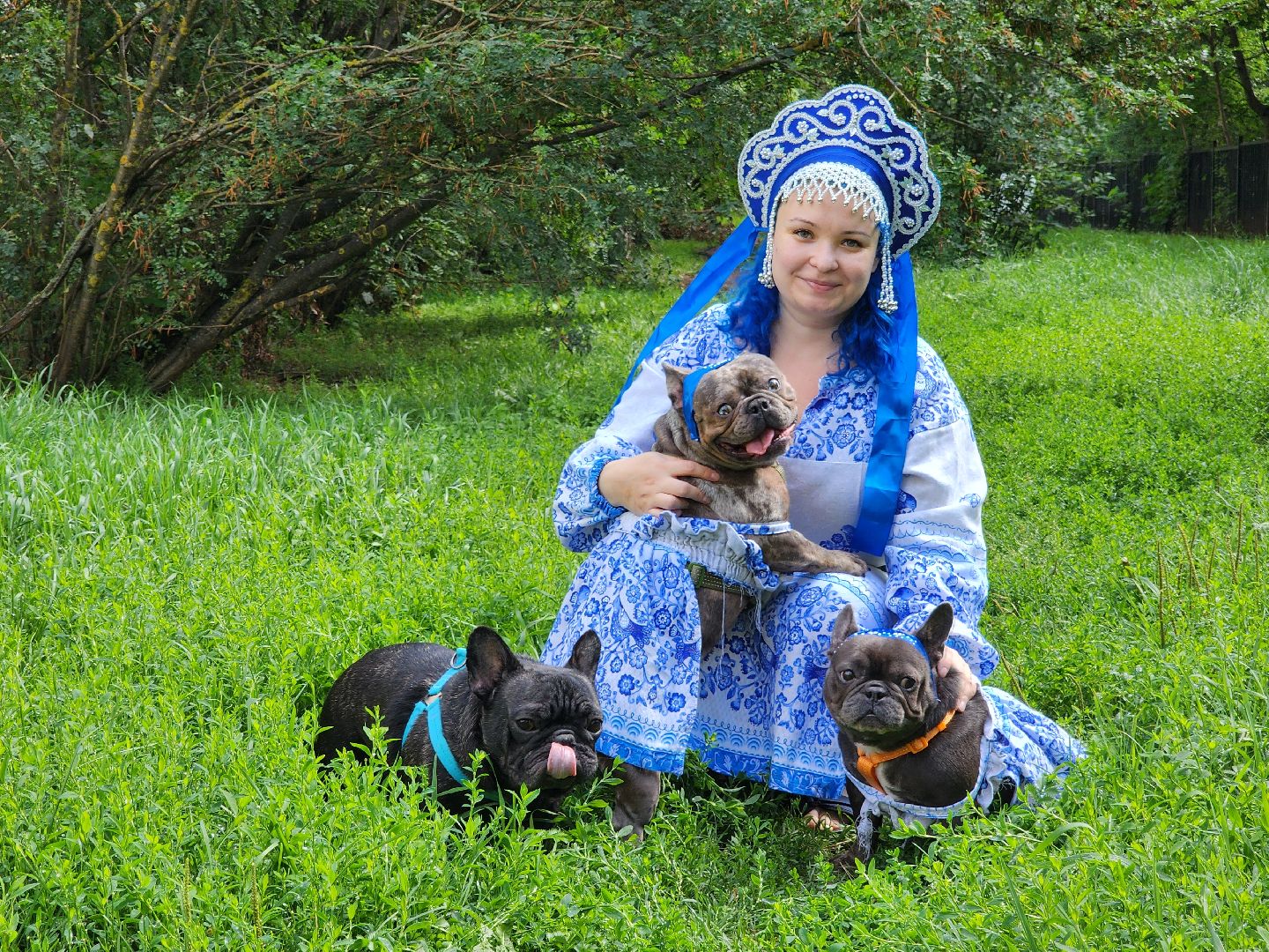 красногорск,французский бульдог, парад, волонтеры, благотворительность, приют для собак,