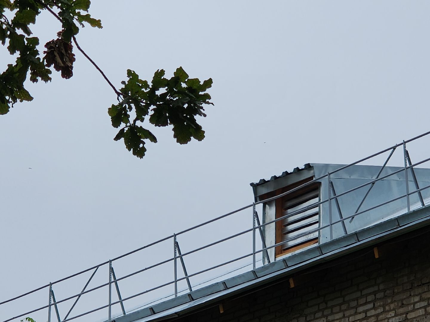 красногорск, опалиха, жкх, крыши,