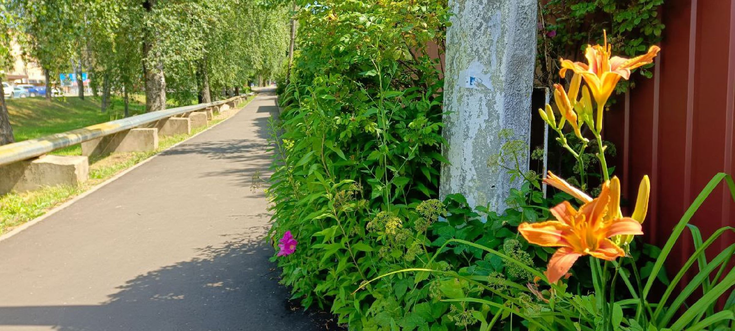 Талдом, Программа Пешком, Минблаго,