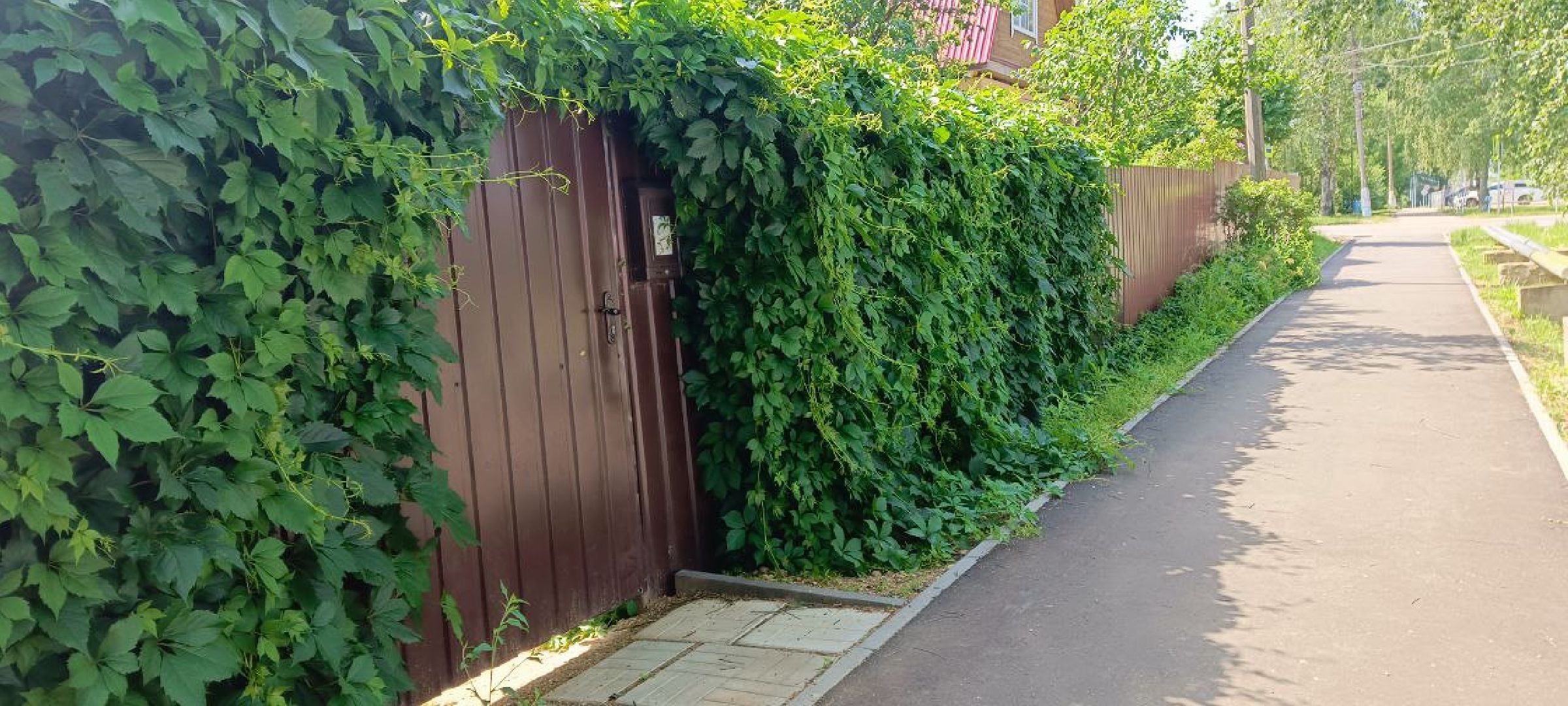 Талдом, Программа Пешком, Минблаго,