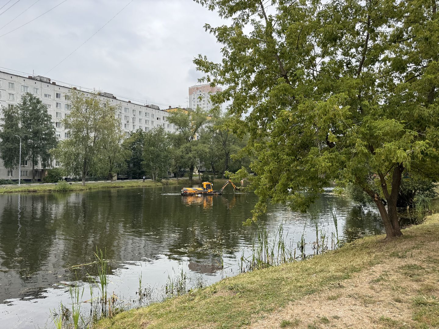 Одинцово, Очистка Комсомольского пруда, Благоустройство, 100 прудов и озер,