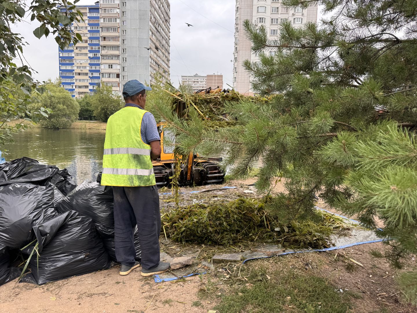 Одинцово, Очистка Комсомольского пруда, Благоустройство, 100 прудов и озер,