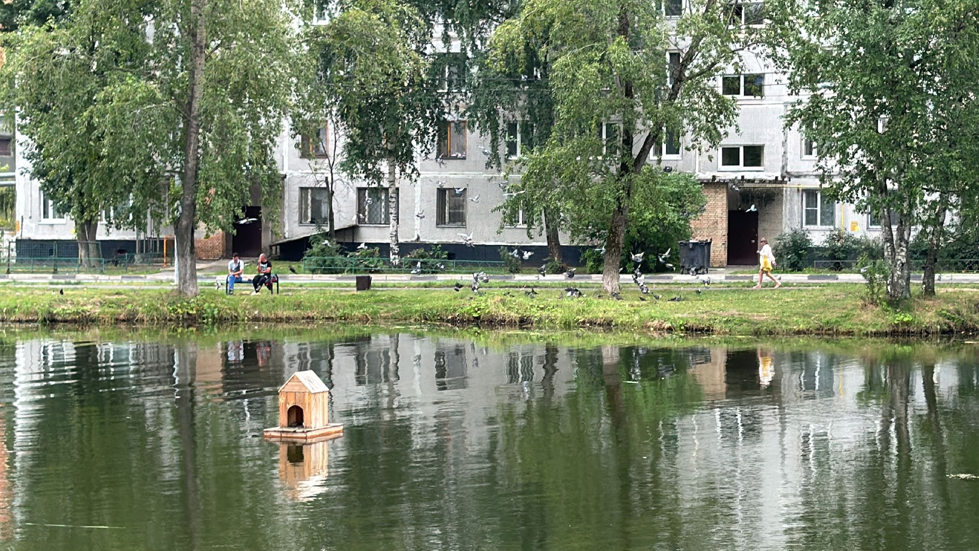 Одинцово, Очистка Комсомольского пруда, Благоустройство, 100 прудов и озер,