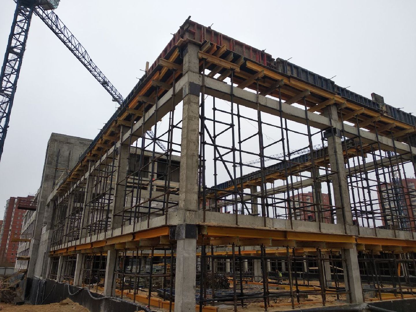 Дмитров, Минобр МО, школа