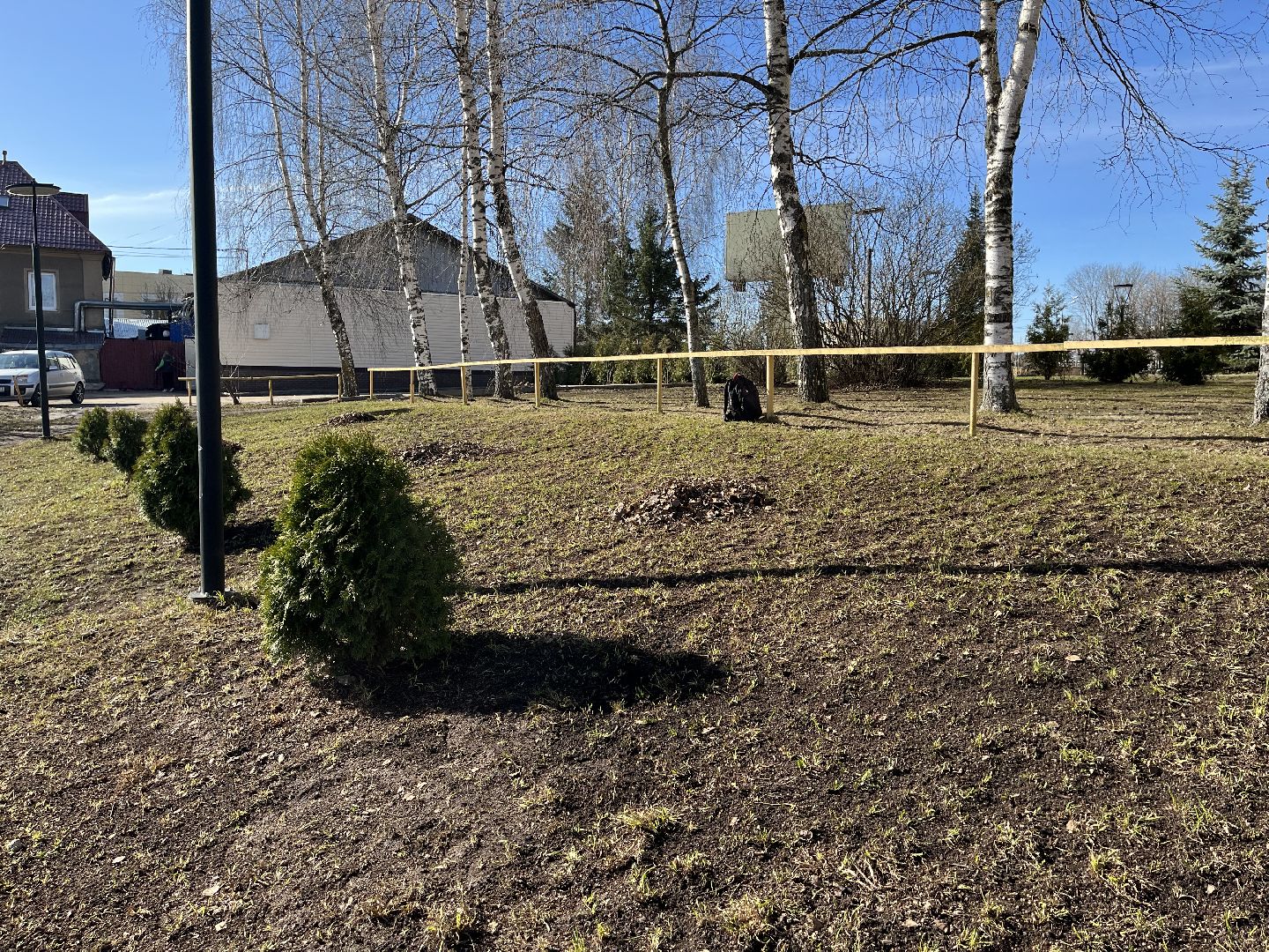 Шаховская, уборка, листья