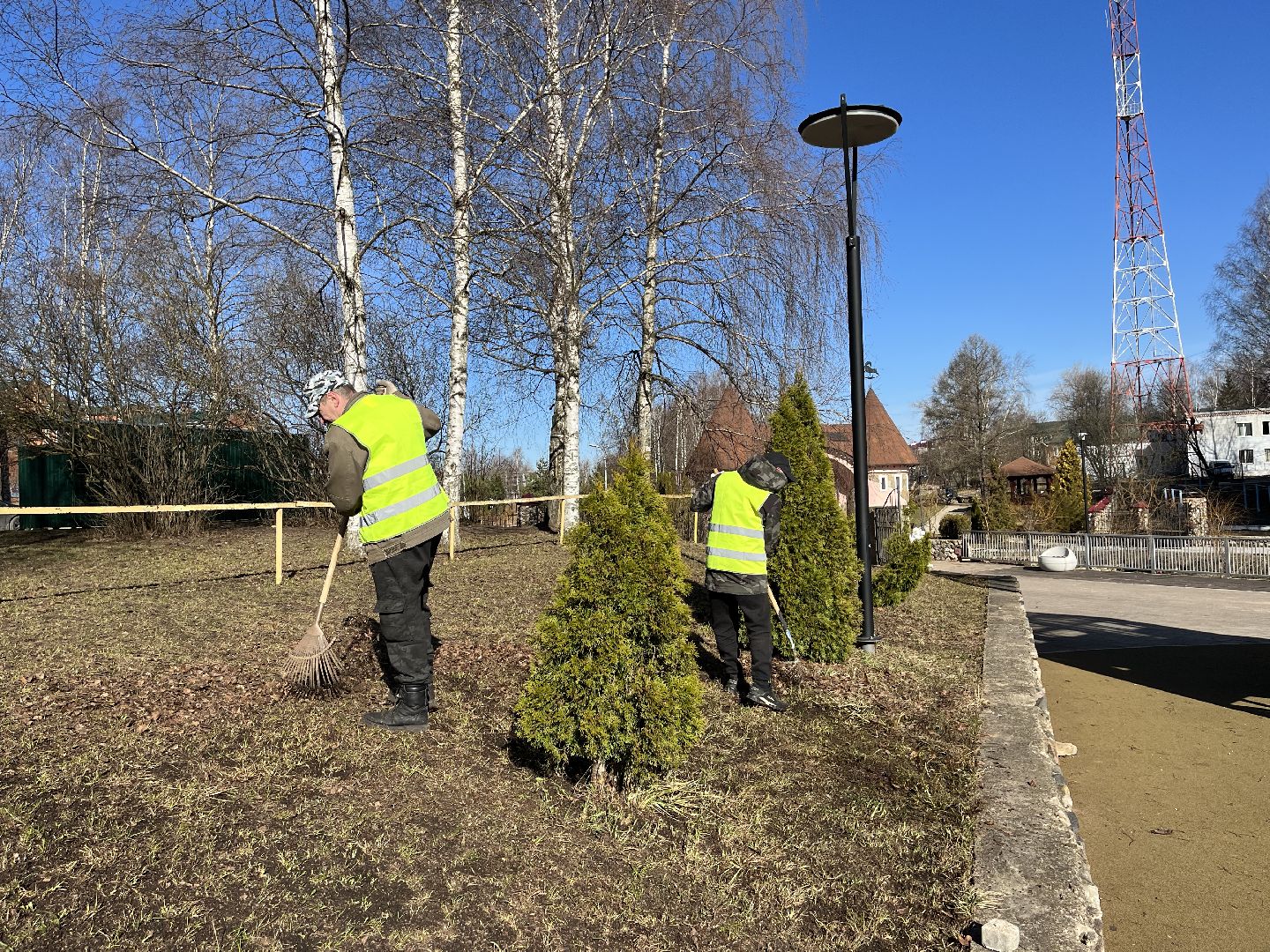 Шаховская, уборка, листья