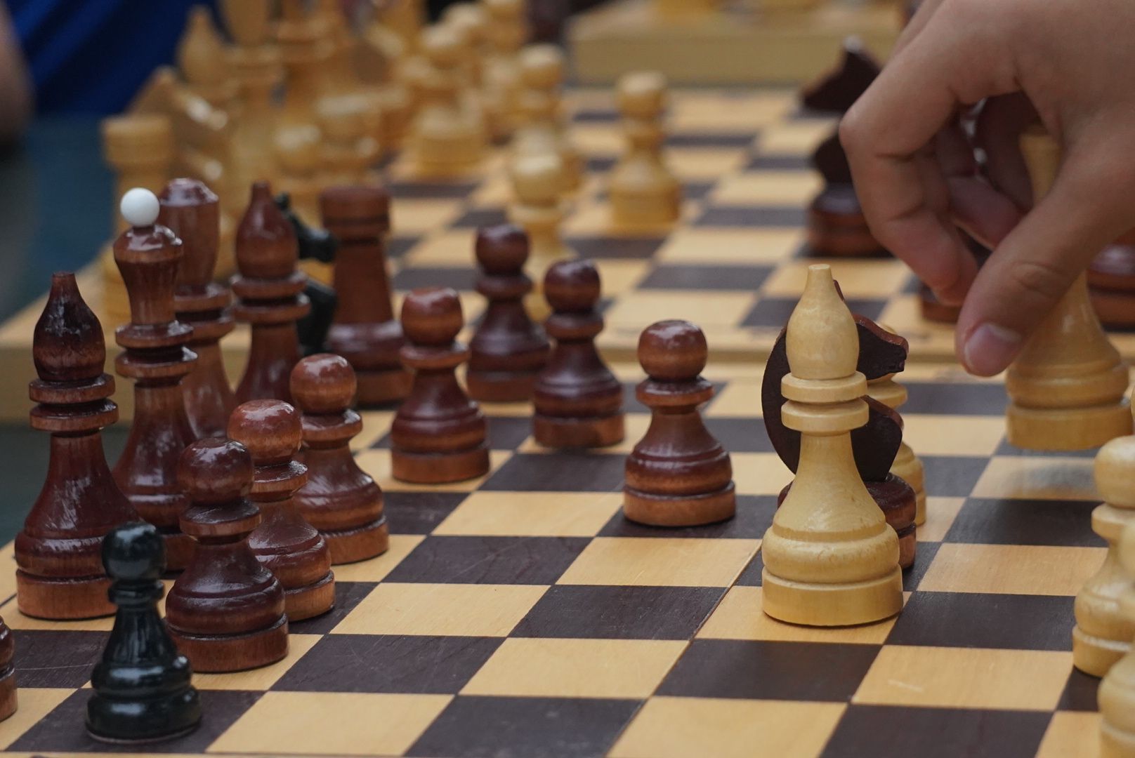 Павловский Посад, Городской округ Павловский Посад, День шахмат, Парк, Жители, Дети,