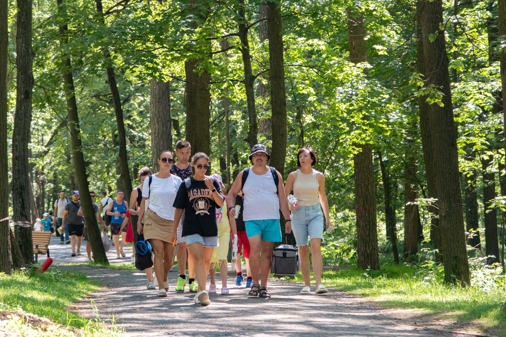 лыткарино, благоуйстройство, волкуша, парки в лесу,