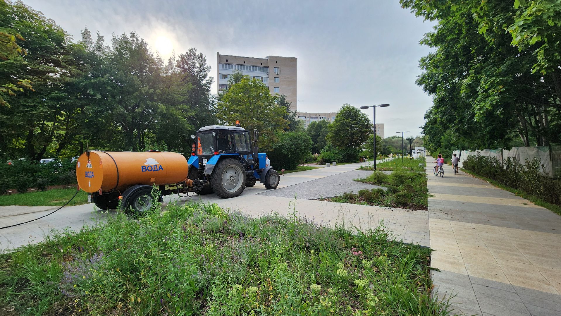 благоустройство, протвино, полив, аномальная жара, комбинат благоустройства,