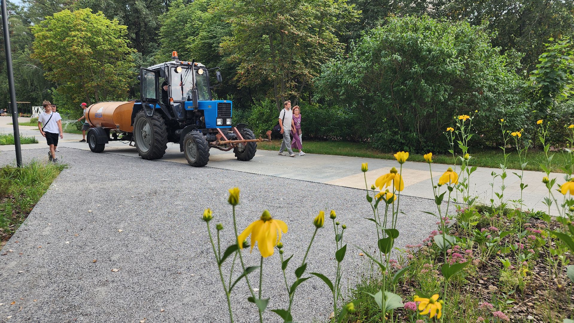 благоустройство, протвино, полив, аномальная жара, комбинат благоустройства,