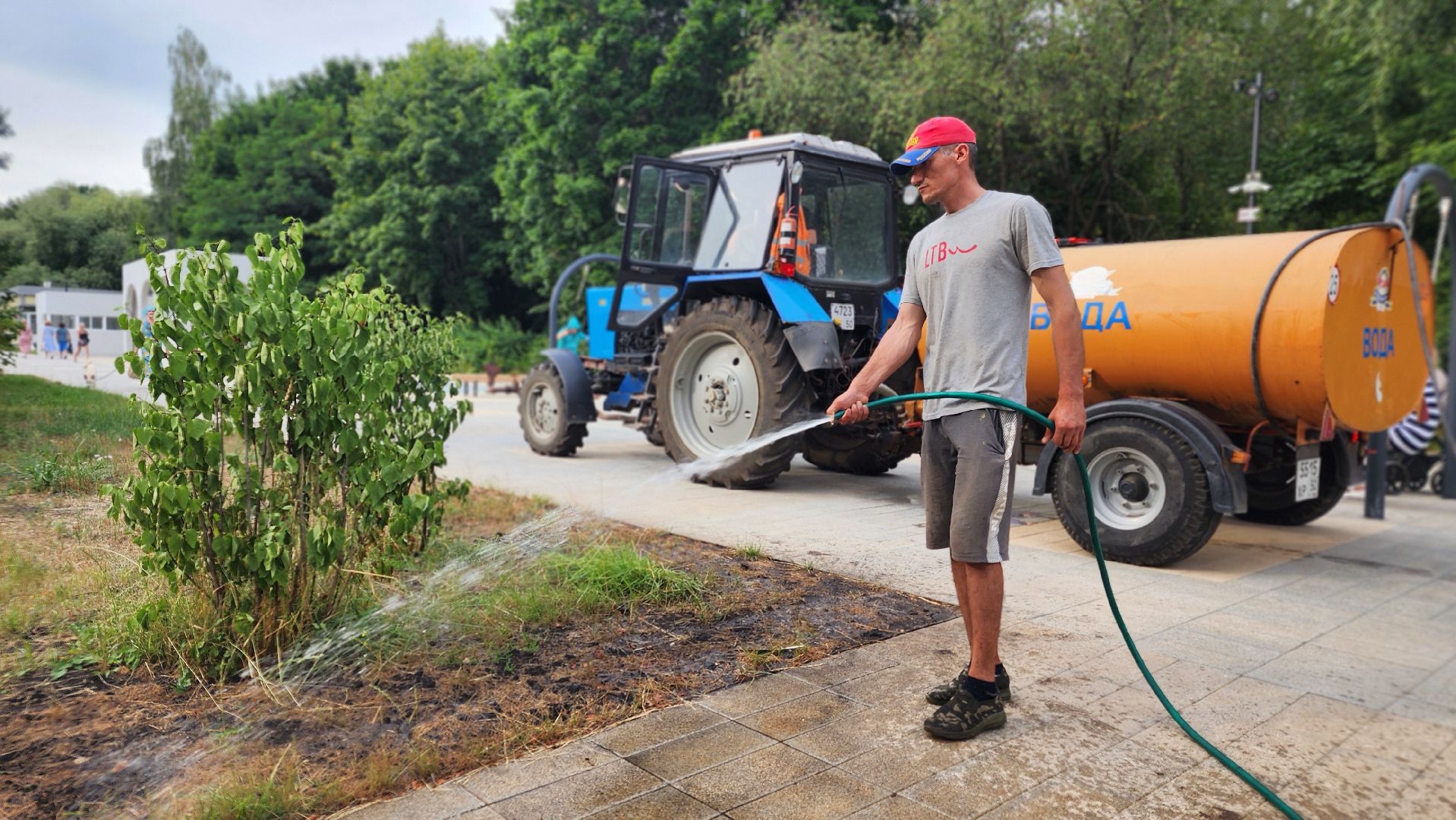благоустройство, протвино, полив, аномальная жара, комбинат благоустройства,