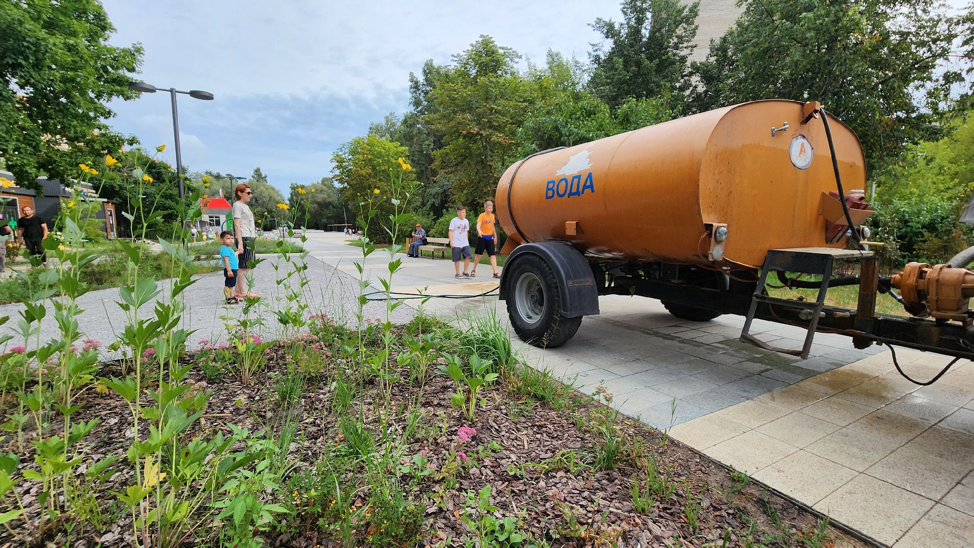 благоустройство, протвино, полив, аномальная жара, комбинат благоустройства,