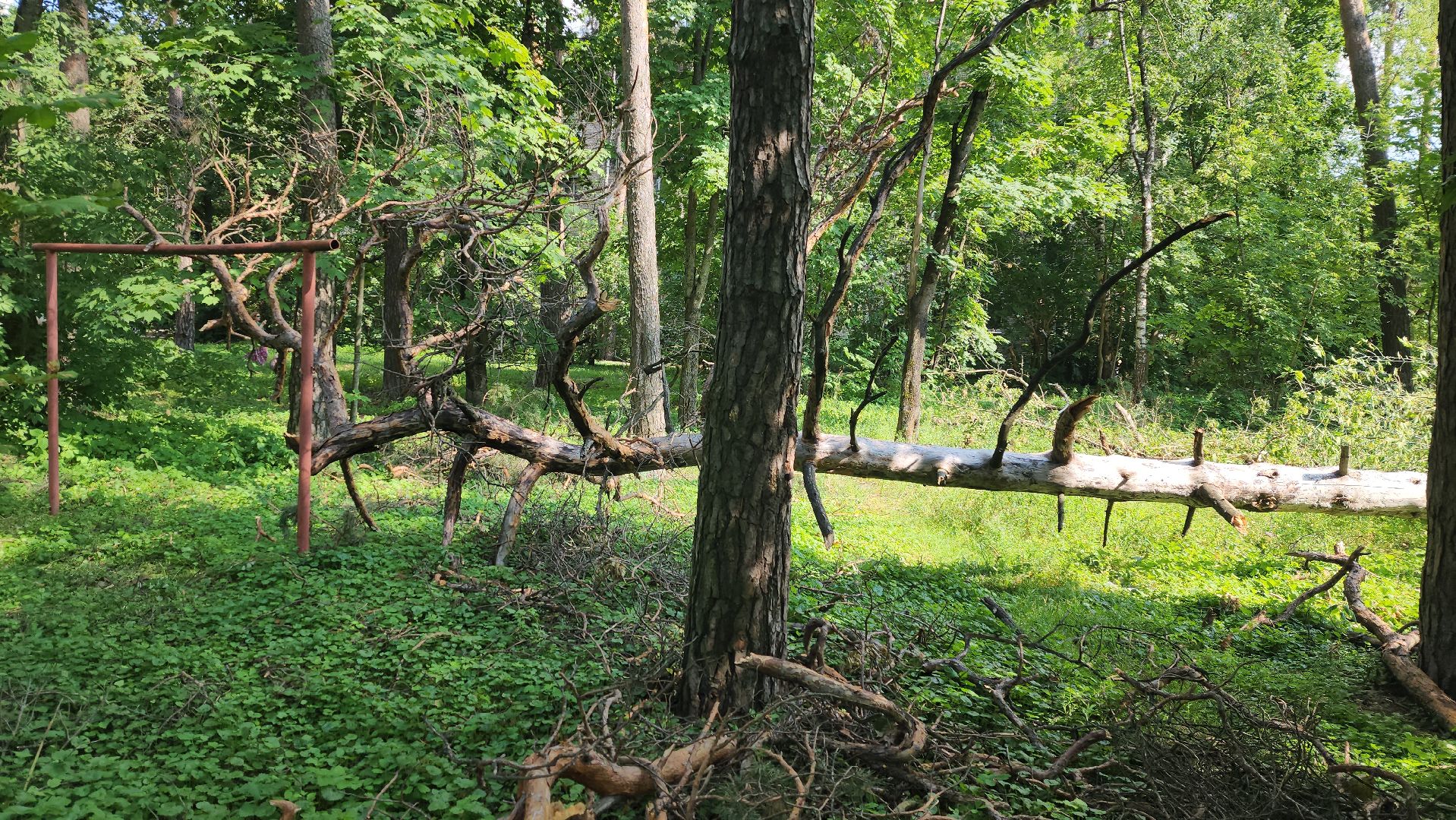 ураган, последствия урагана, мбу городское хозяйство