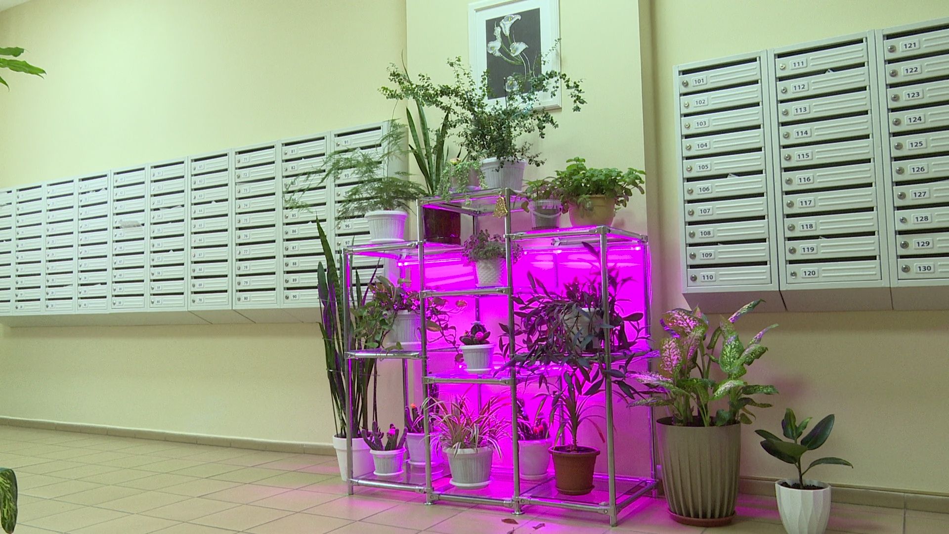 Реутов, благоустройство, конкурс главы, лучший дом, лучший двор, лучший подъезд,выбирай лучшее,