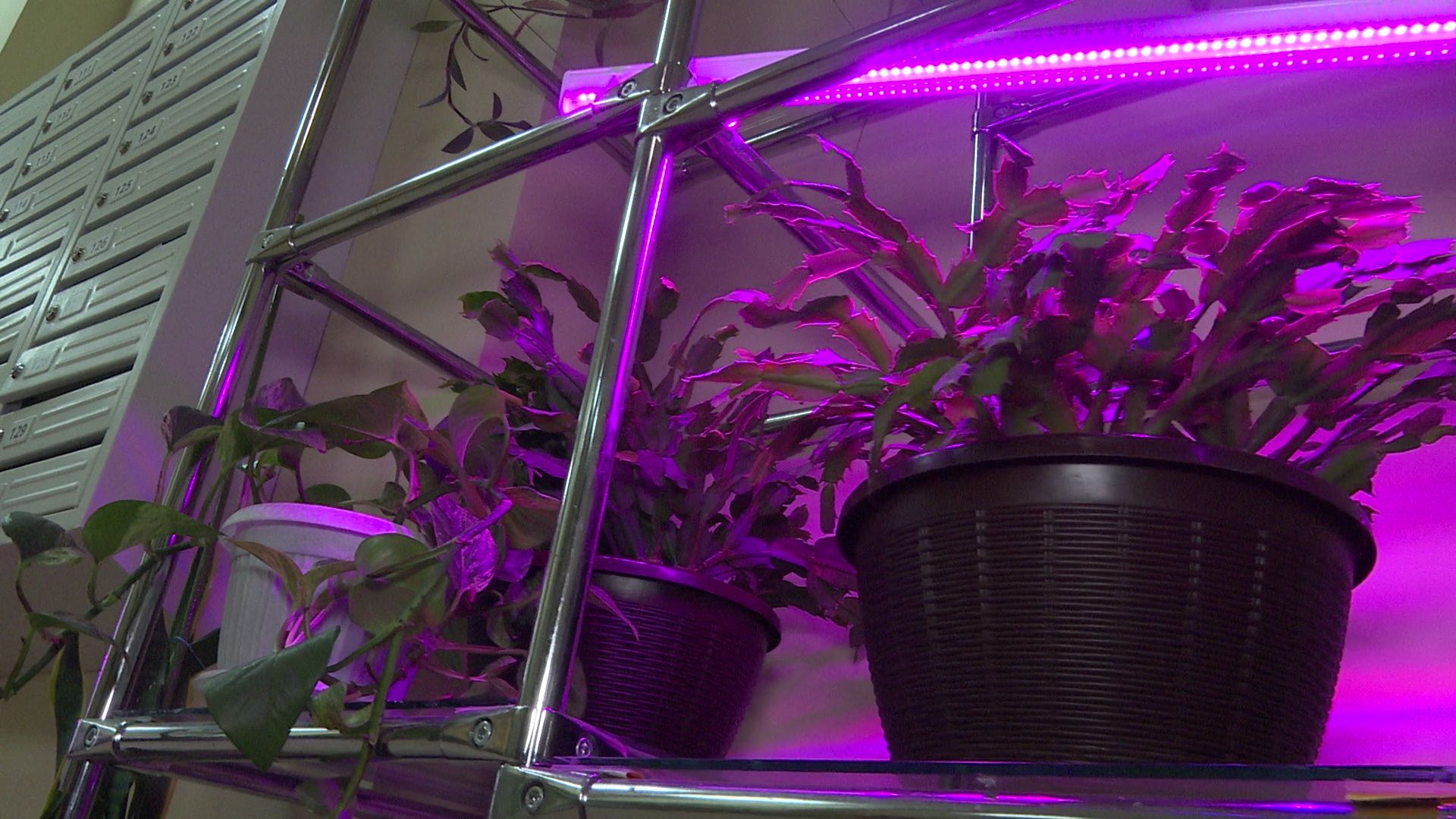 Реутов, благоустройство, конкурс главы, лучший дом, лучший двор, лучший подъезд,выбирай лучшее,