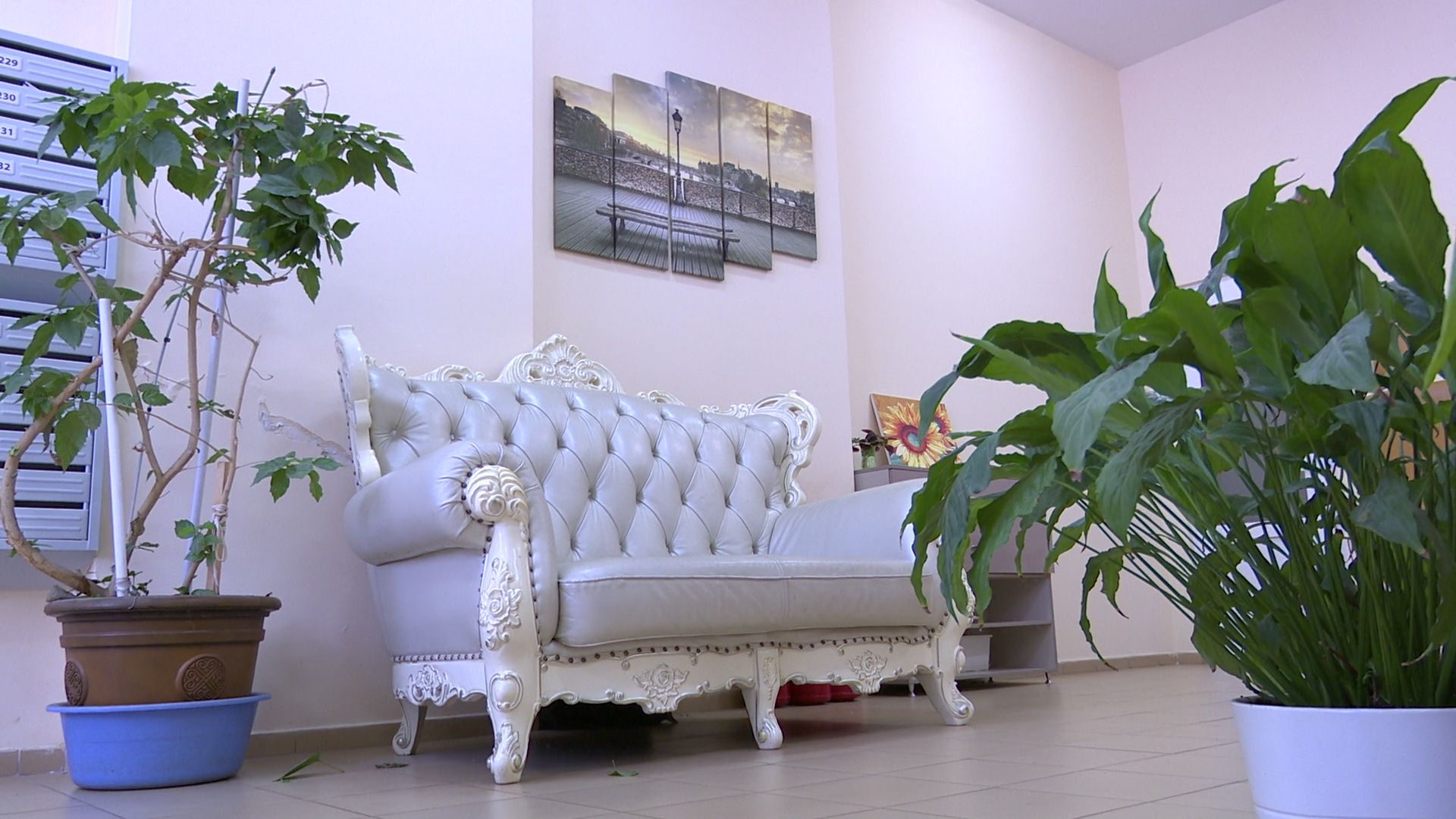 Реутов, благоустройство, конкурс главы, лучший дом, лучший двор, лучший подъезд,выбирай лучшее,