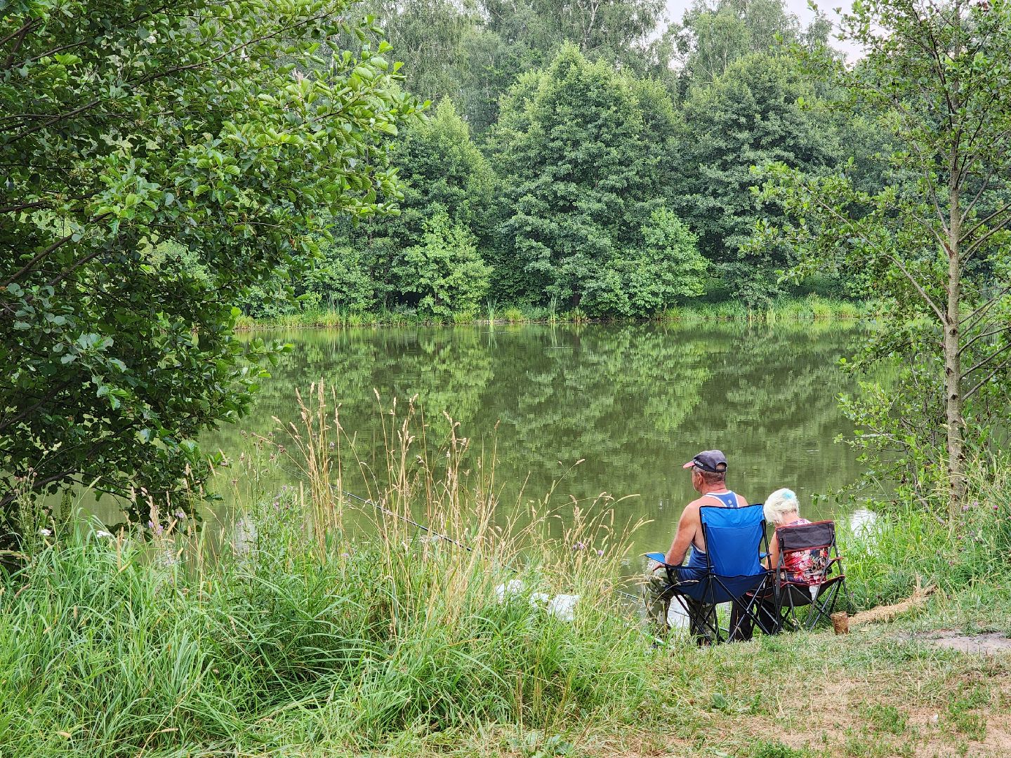 Чехов, село Дубна, выездная администрация, очистка пруда, окос травы, опиловка деревьев,