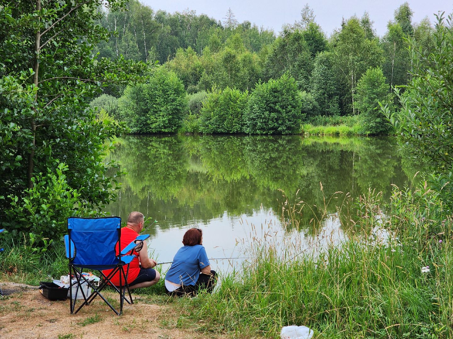 Чехов, село Дубна, выездная администрация, очистка пруда, окос травы, опиловка деревьев,