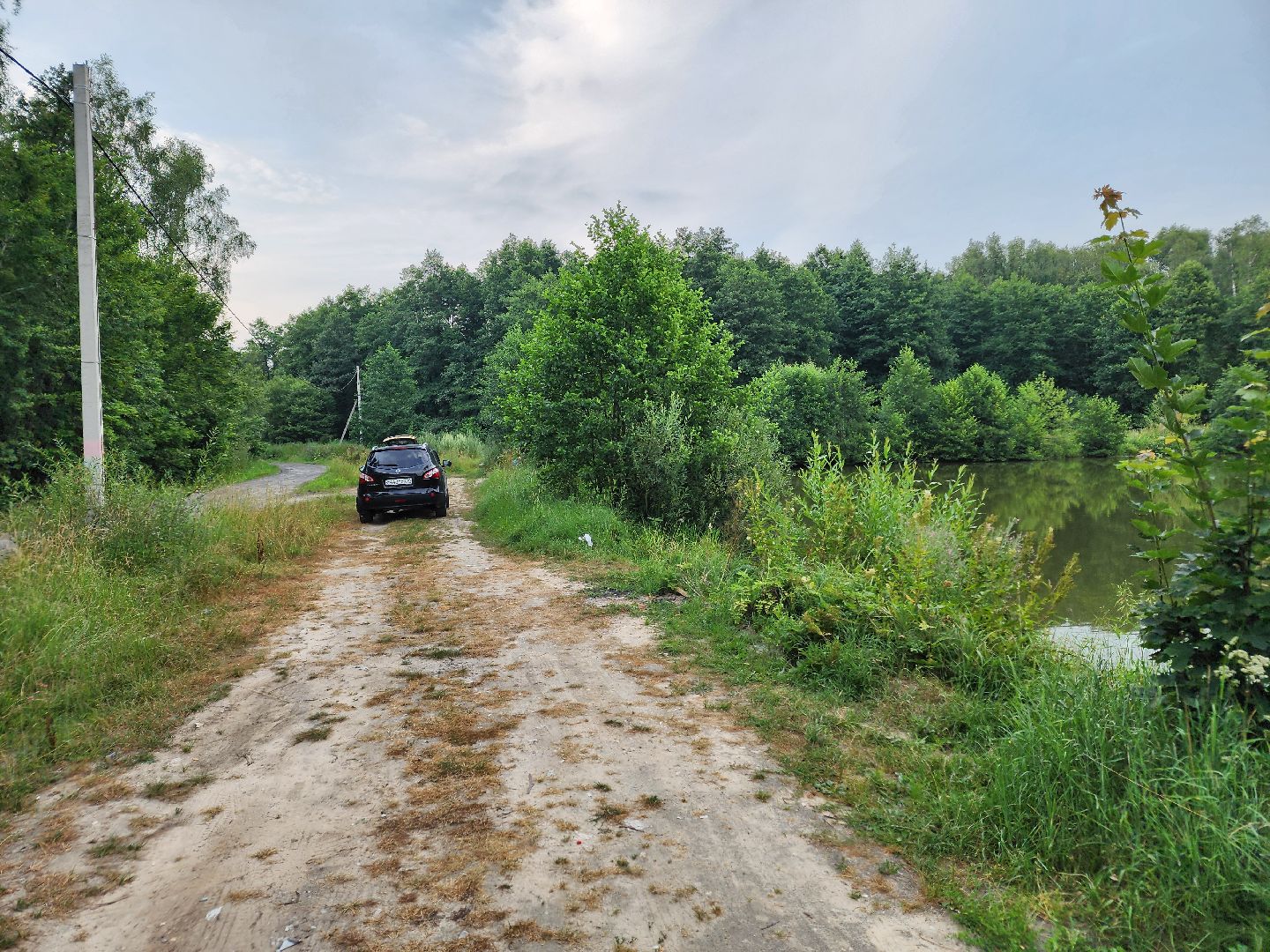 Чехов, село Дубна, выездная администрация, очистка пруда, окос травы, опиловка деревьев,