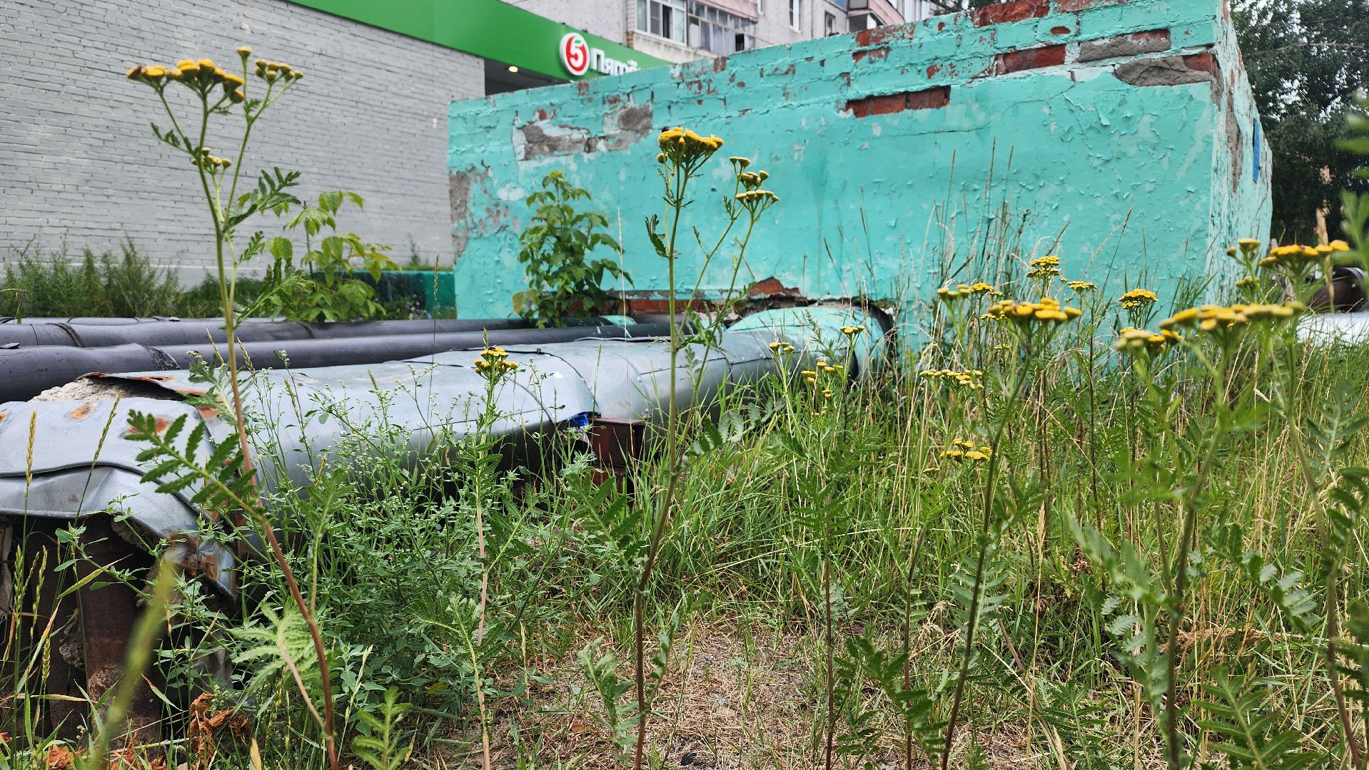 обход террриторий, жкх, благоустройство, Шатура, Большая Шатура,