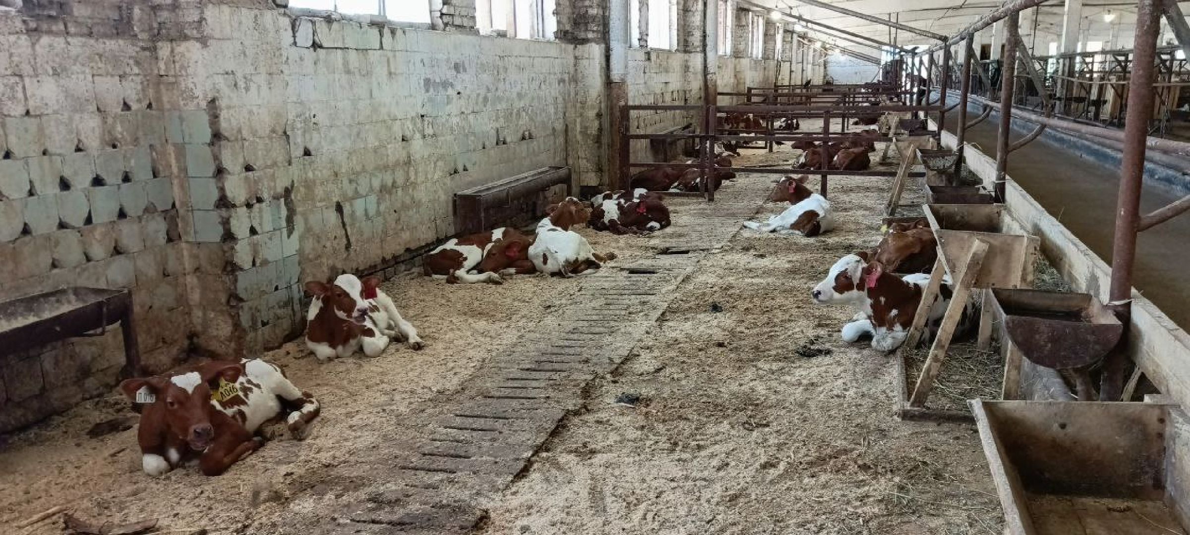 Дмитров, Мосагрофуд, Минсельхоз,