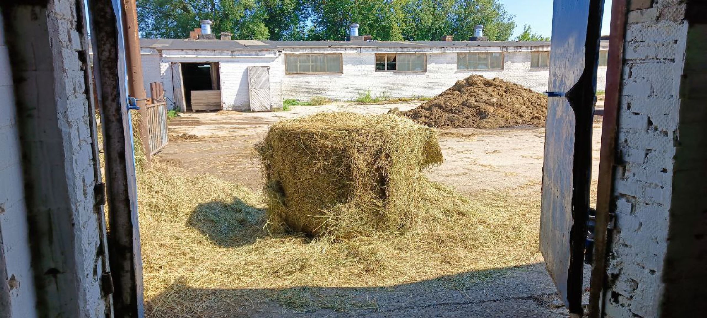 Дмитров, Мосагрофуд, Минсельхоз,
