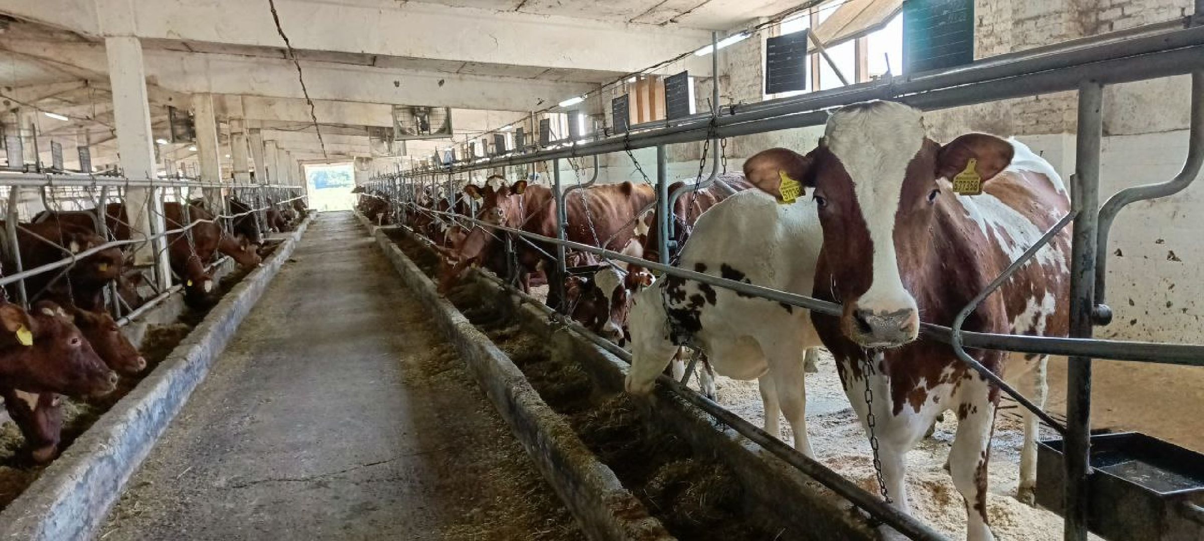 Дмитров, Мосагрофуд, Минсельхоз,