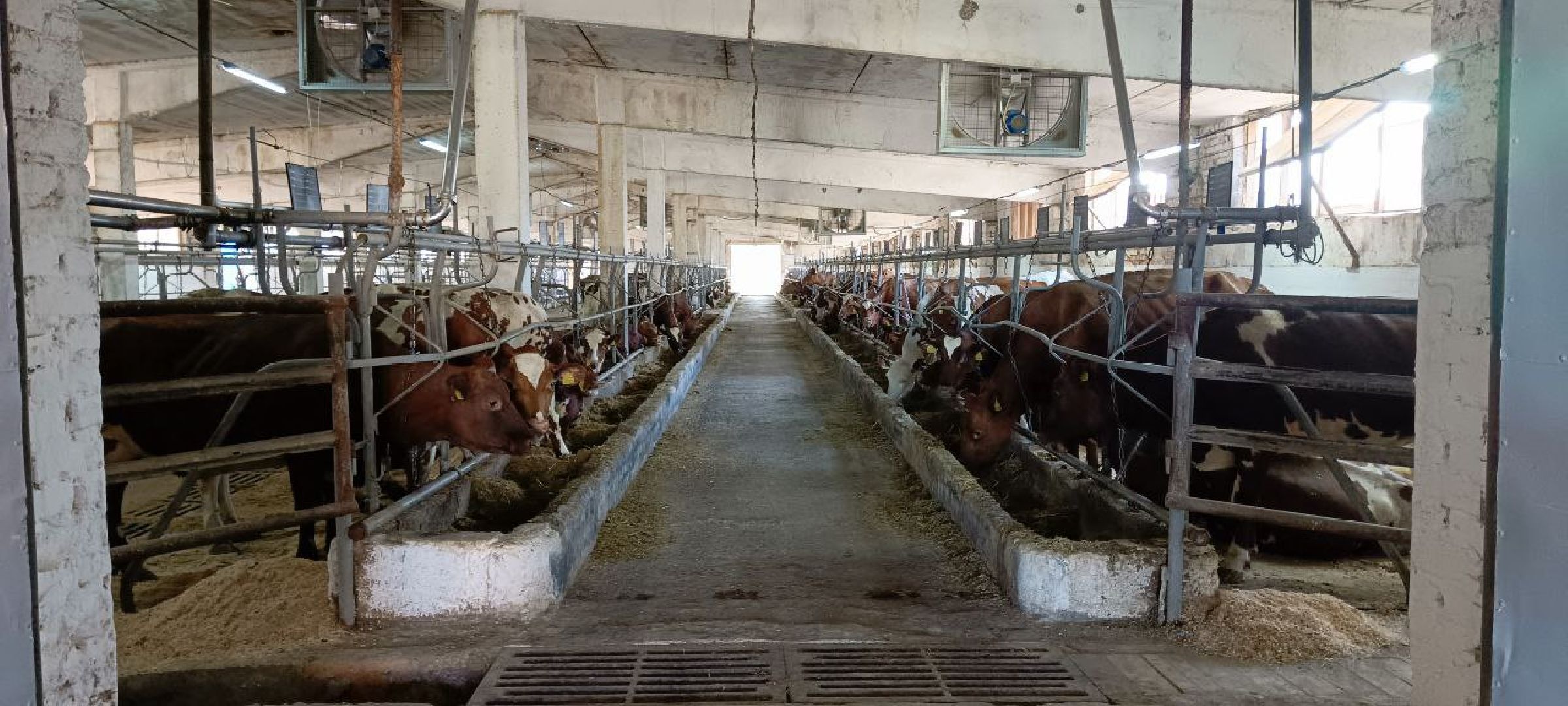 Дмитров, Мосагрофуд, Минсельхоз,