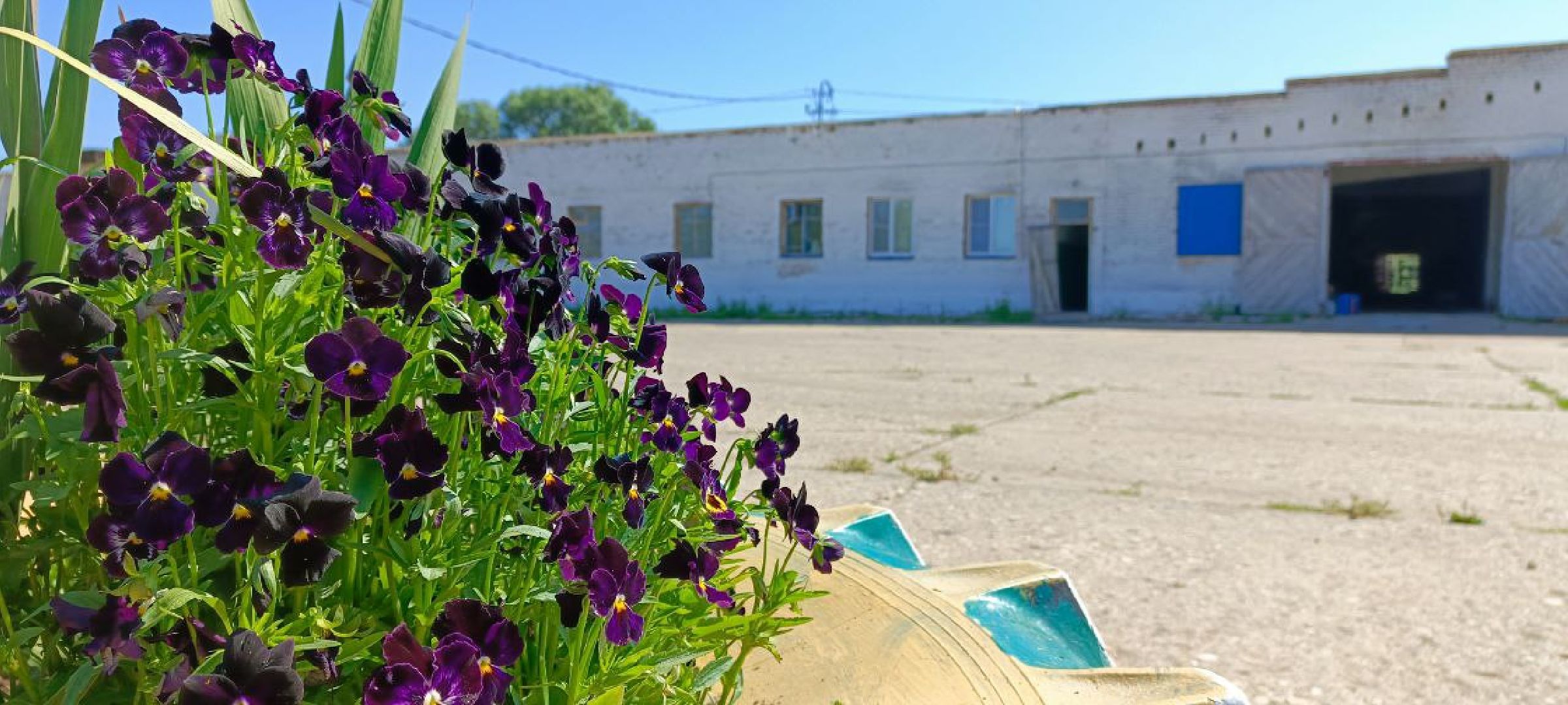 Дмитров, Мосагрофуд, Минсельхоз,