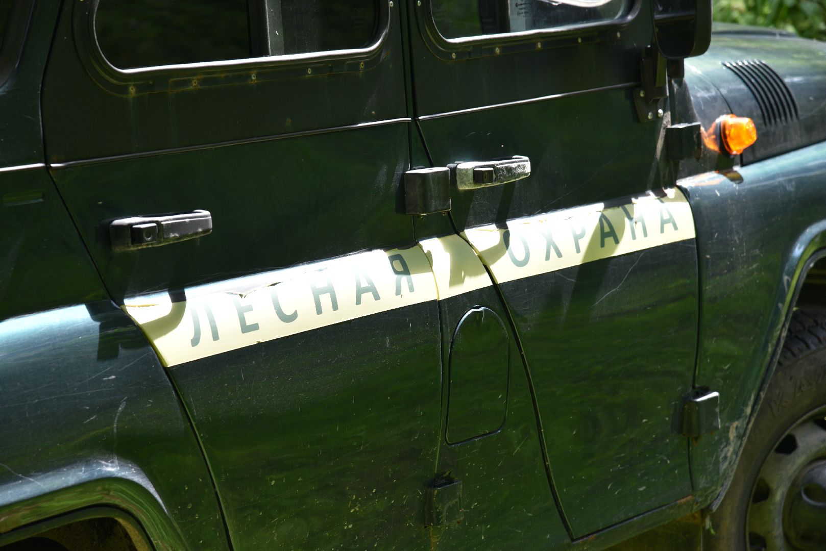 лотошино, чистый лес, экология, акция, экологическая акция, депутат мособлдумы,