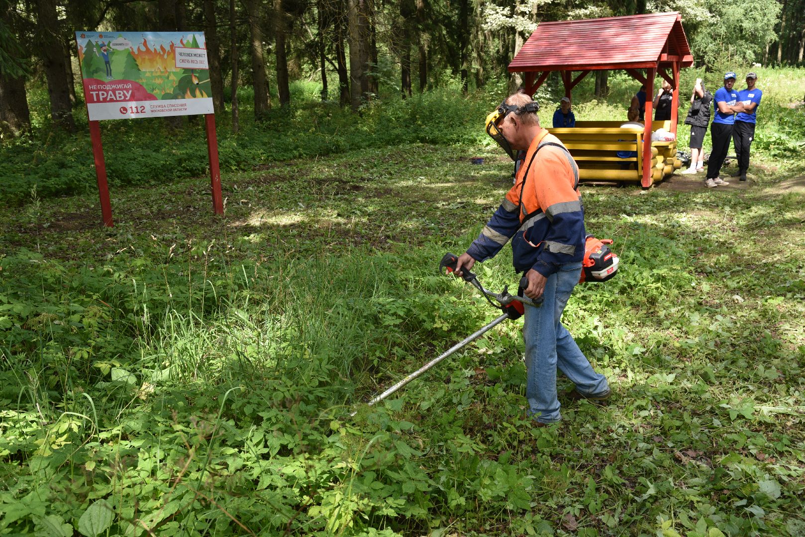 лотошино, чистый лес, экология, акция, экологическая акция, депутат мособлдумы,